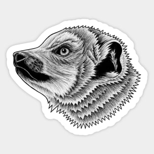 Crowned lemur - ink illustration Sticker